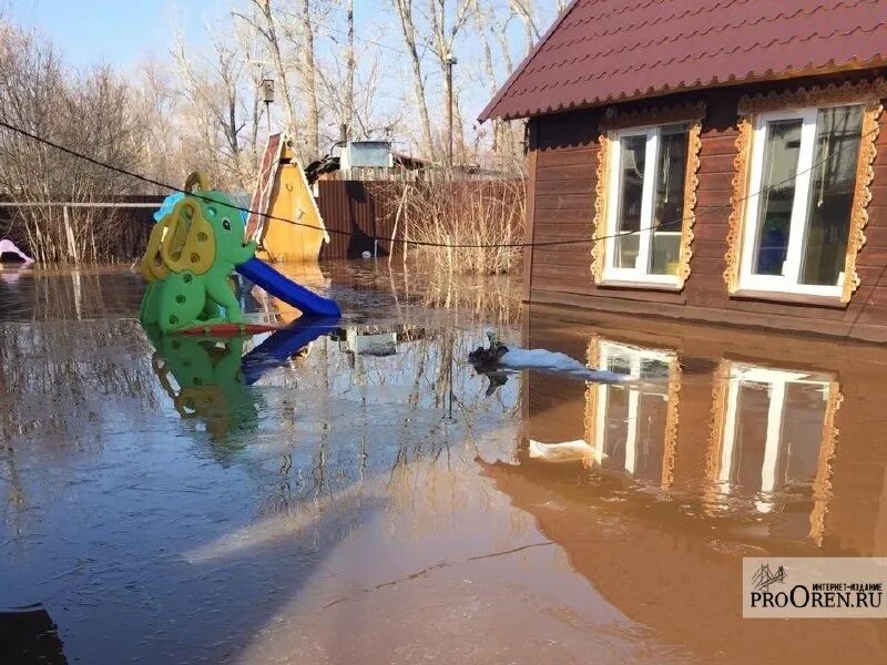 Какие районы затопило в оренбурге. Оренбург затоплено СНТ Тополек. Река Пахра потоп. СНТ клуб. СНТ Чкалов Оренбург.