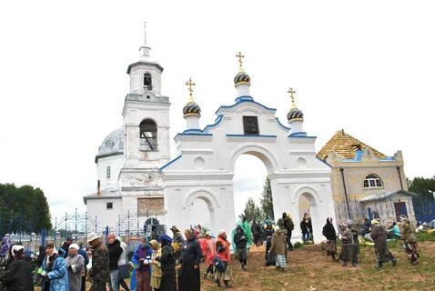 Погода горохово курганская область