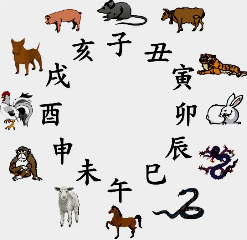 Как будет по китайски кошка. Иероглифы животных. Символы китайского гороскопа. Китайские символы животных. Китайские зодиакальные животные.