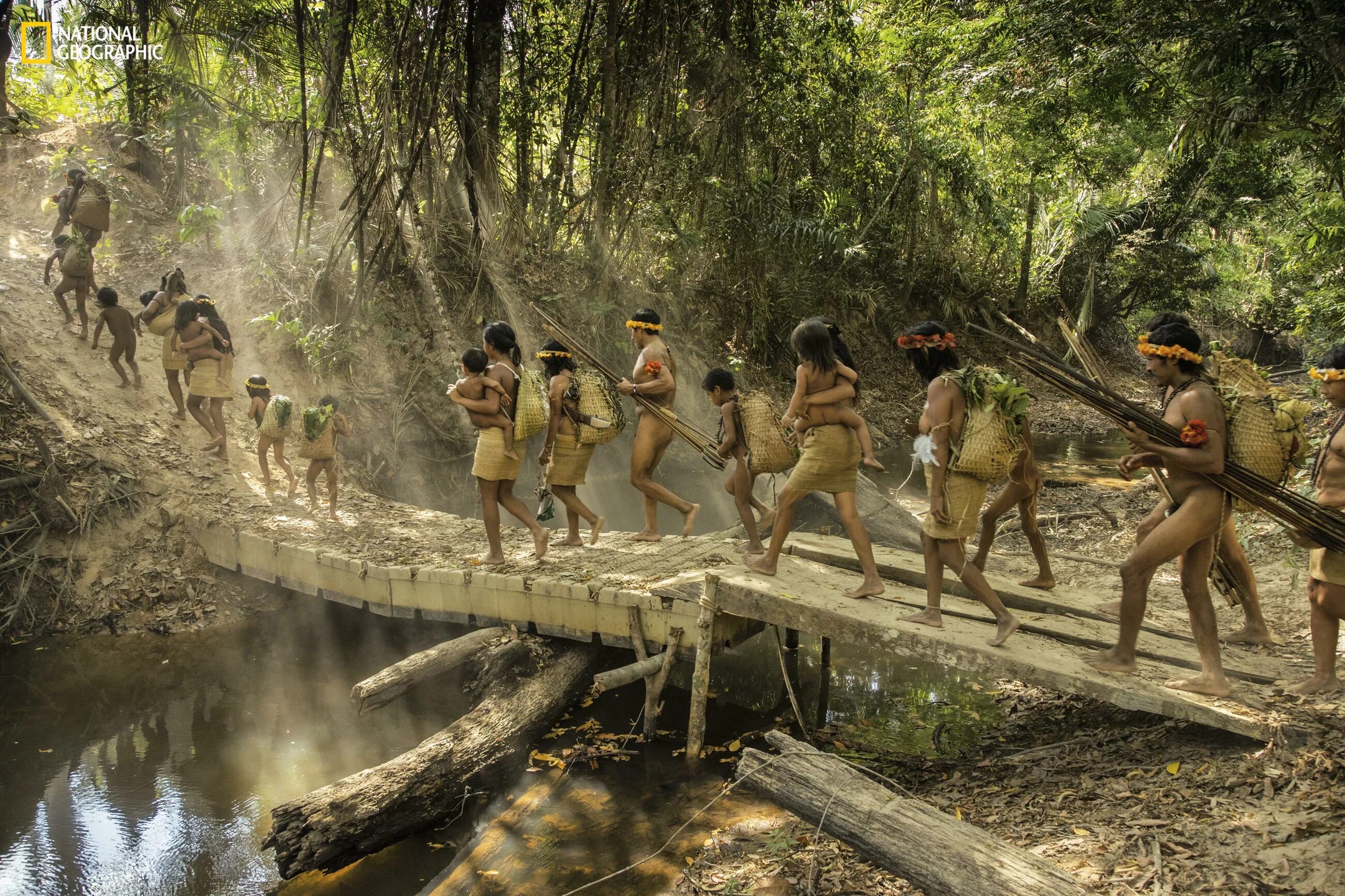 Living in the jungle. Индейцы Бразилии неконтактные племена. Бразилия джунгли неконтактные племена. Неконтактные индейцы Амазонии. Индейцы Бразилии в Амазонии.