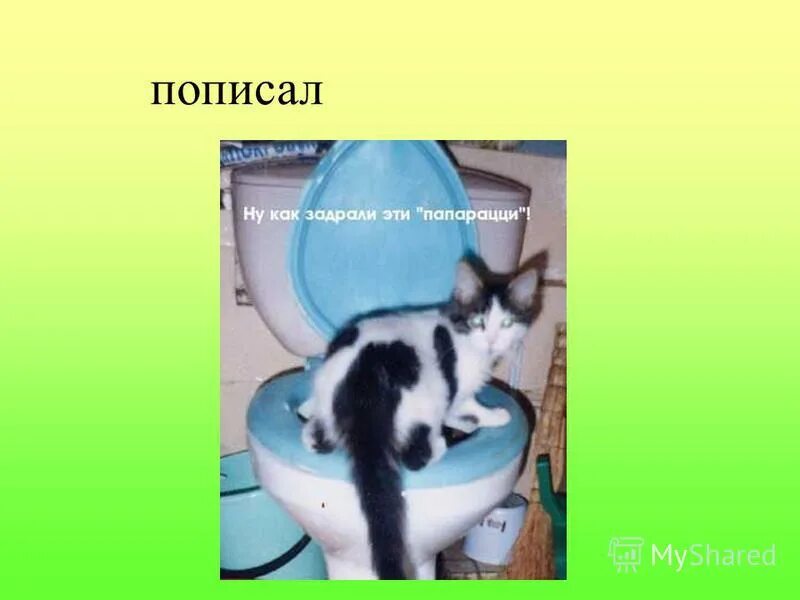 Куда пописать