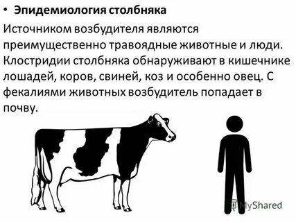Столбняк инфекция
