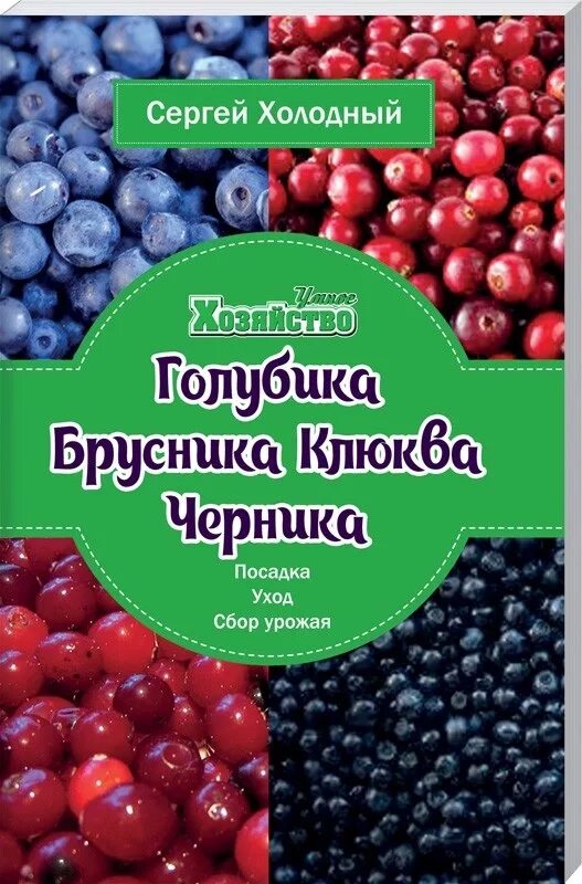 Брусника черника голубика клюква. Голубика брусника клюква. Брусника голубика. Брусника черника голубика.