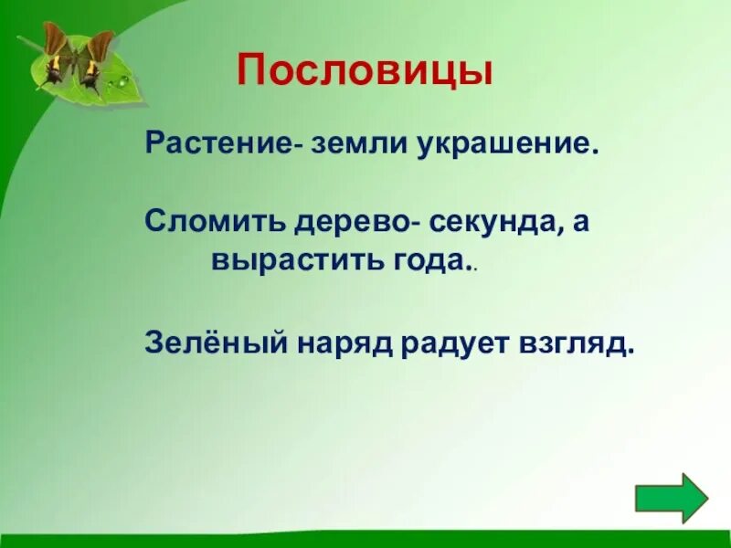 Леса украшающие нашу землю радуют глаз человека. Пословицы о растениях. Поговорки о растениях. Gjckjdbwb j hfcntybz[. Пословицы о растениях для 3 класса.