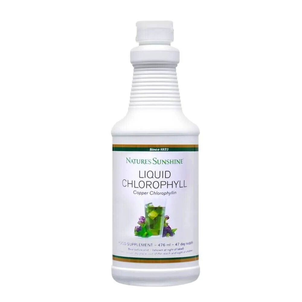 Chlorofresh, жидкий хлорофилл, с ароматом мяты, 473,2 мл. Хлорофилл жидкий iherb. Хлорофилл жидкий концентрат. Хлорофилл жидкий айхерб. Хлорофилл жидкий nature's way.