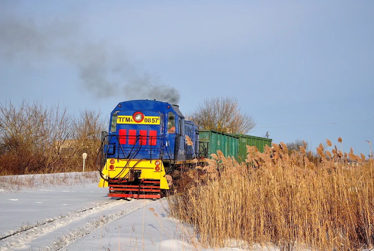 Ппжт ногинск