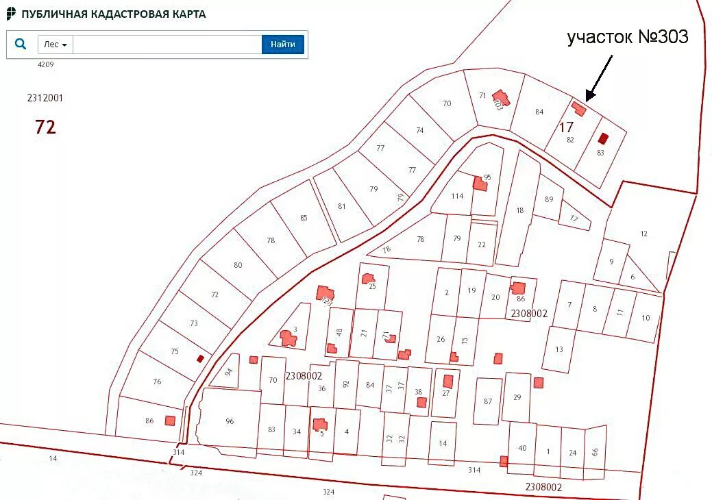 Показать на кадастровой карте участок. СНТ на кадастровой карте. Кадастровая карта. Кадастровая карта участка. Кадастровая карта садового товарищества.