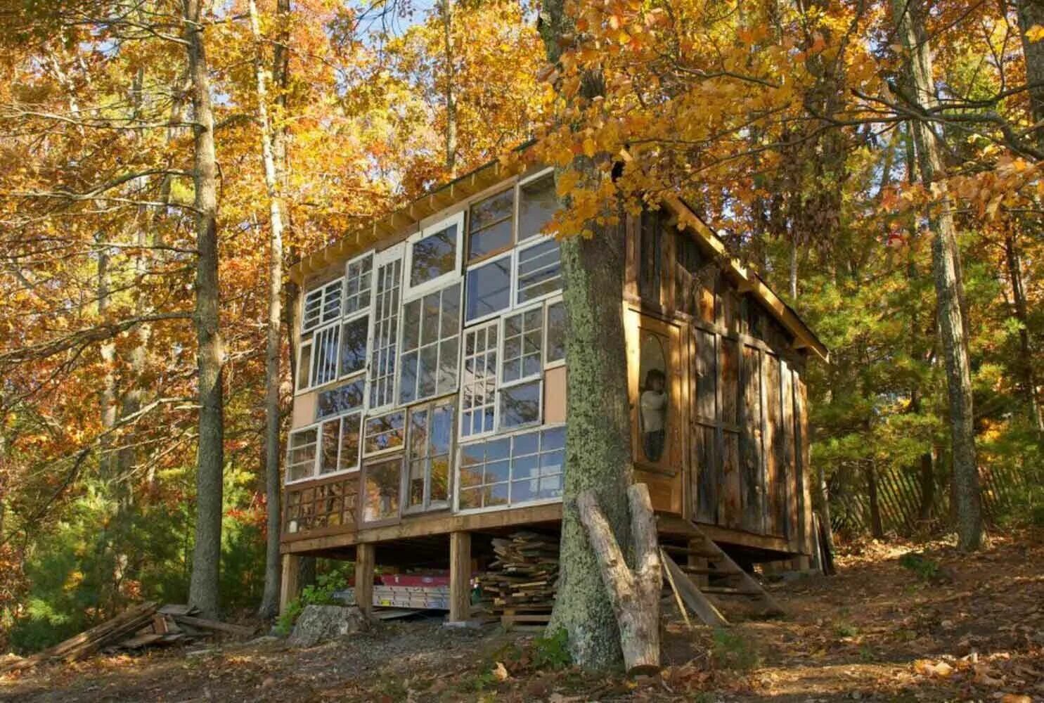 Построить дом в чаще. Дом в лесу. Летний домик в лесу. Дома из необычных материалов. Дом в лесу из подручных материалов.