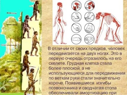В каком году родился 1 человек