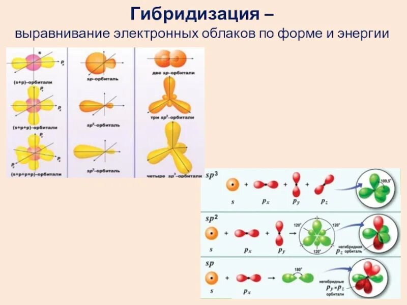 Явление гибридизации. Соматическая гибридизация схема. Гибридизация в органической химии. SP гибридизация атомных орбиталей. Типы гибридизации электронных облаков.