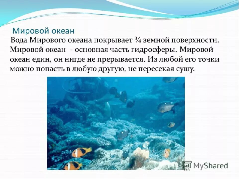 Что относится к водам океанов. Общие сведения о мировом океане. Воды Мировых океанов. Сообщение на тему мировой океан. Мировой океан презентация.