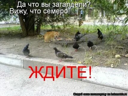 Есть одно но не обладая