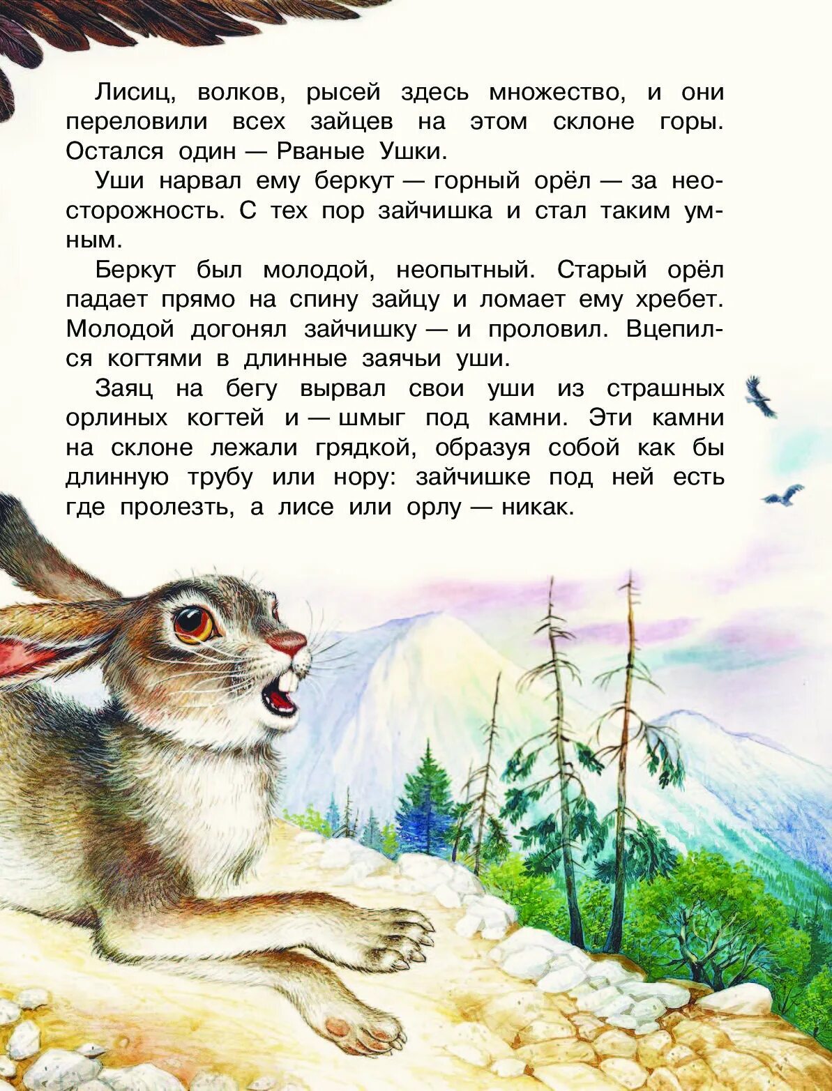 Заяц бежит в гору. Зайка в горах. Шотландский горный заяц. Заяц на горе. Заяц в горах.