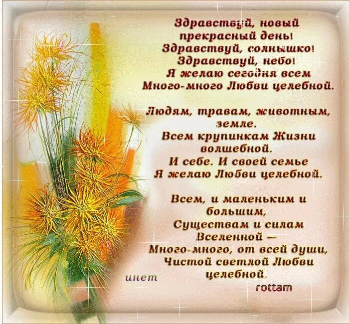 Зима и солнце день чудесный пушкин. Стих в чудесной стране. Зайцы пахнут как морковка стих. Стихи про чудесное. Красивые стихи о жизни.