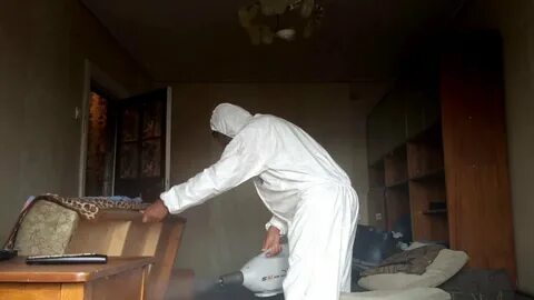 Дезинсекция блох в энгельсе