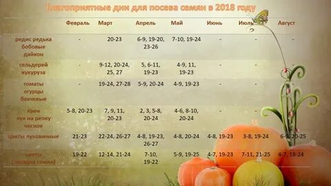 Удачные дни для посадки семян в марте