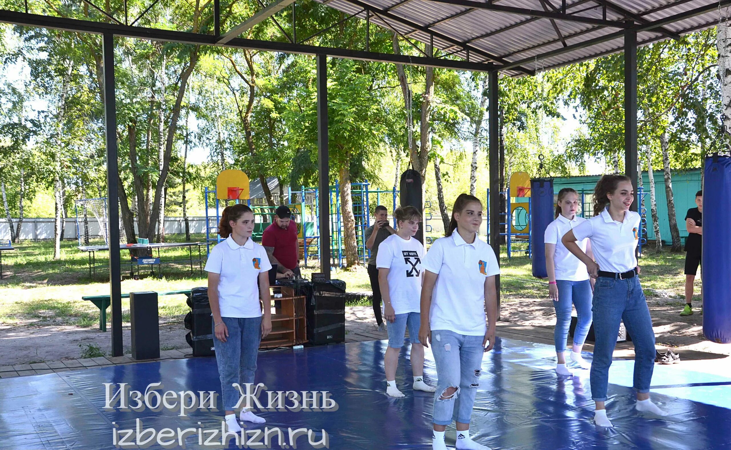 Дол альбатрос. Лагерь Альбатрос Кабардинка. Краснодарский край лагерь Альбатрос. Лагерь Альбатрос Брянск. Альбатрос лагерь Камчатка.