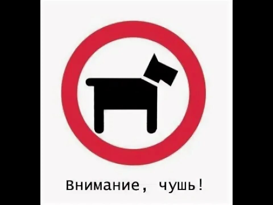 Почему чушь. Чушь собачья. чушь собачья картинки. полная чушь.