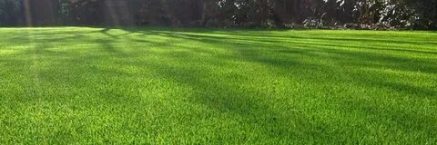 Grass well