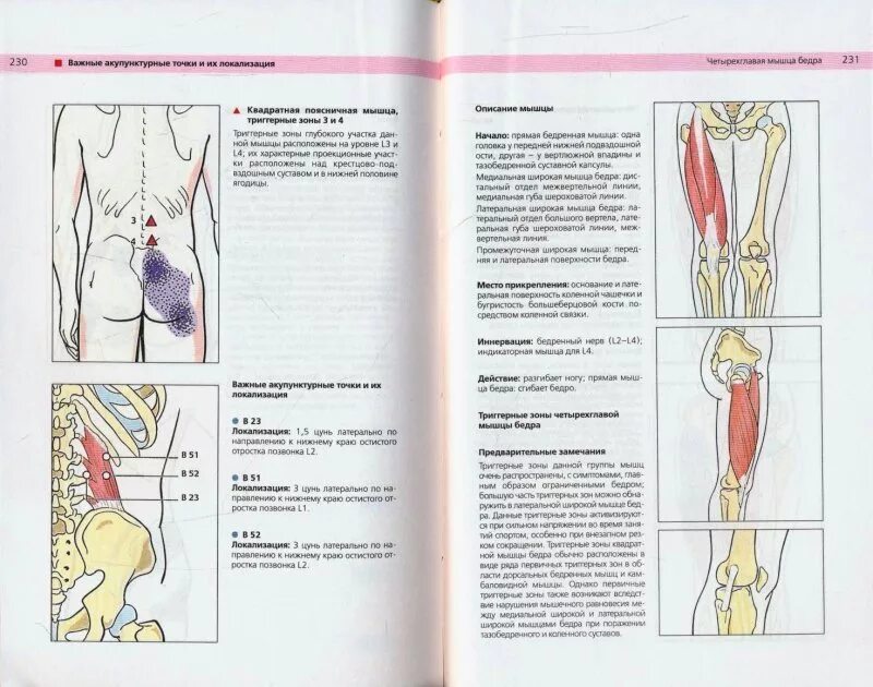 Триггерные точки это простыми словами. Книга триггерные точки Клэр Дэвис. Карманный атлас акупунктуры. Акупунктура триггерные точки. Книга по акупунктурные точкам.