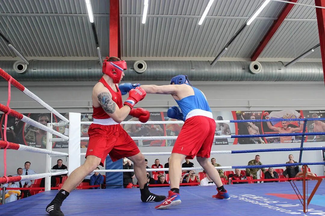 Бокс уральск. Витязь бокс. Федерация бокса усть-илимск. Центр бокса каменска-уральского. Центр бокса ишимбай.