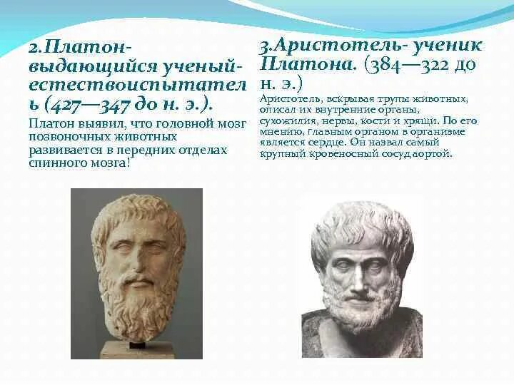 Гиппократ Платон Аристотель. Аристотель ученик Платона. Аристотель ученый. Вклад Платона.