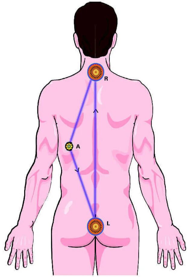 Болит спина солнечное сплетение. Солнечное сплетение. Точка солнечного сплетения. Солнечное сплетение у человека. Чакры и железы внутренней секреции.