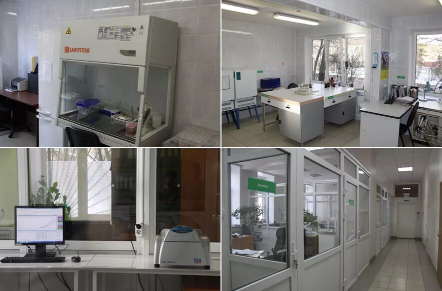 центр гигиены и эпидемиологии роспотребнадзора. германа 29 а великий новгород санитарная книжка. экспертное заключение фбуз центр гигиены и эпидемиологии образцы. фбуз центр гигиены и эпидемиологии кировской. фбуз центр гигиены и эпидемиологии в чувашской республике.