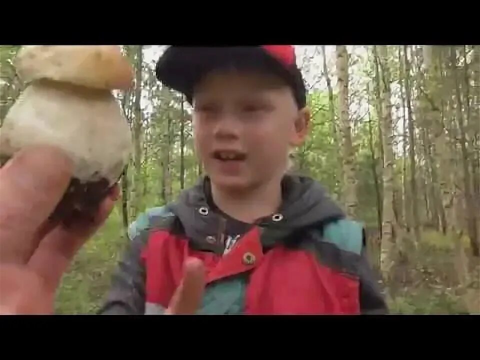 Мужчина с грибами. Поход за грибами. Нормальный мужик последнее видео про грибы. Бабушка с грибами. Нормальный мужик видео грибы.