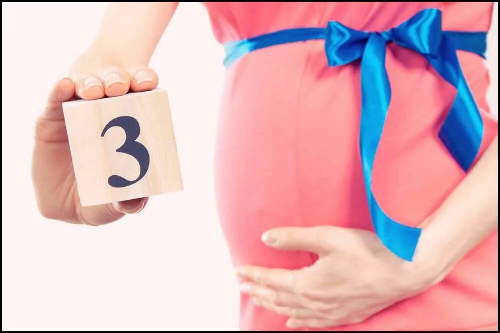 Беременные 6 месяцев. 5 месяцев. Бонусы для беременных картинка. Беременная женщина. Живот на 4-5 месяце беременности.