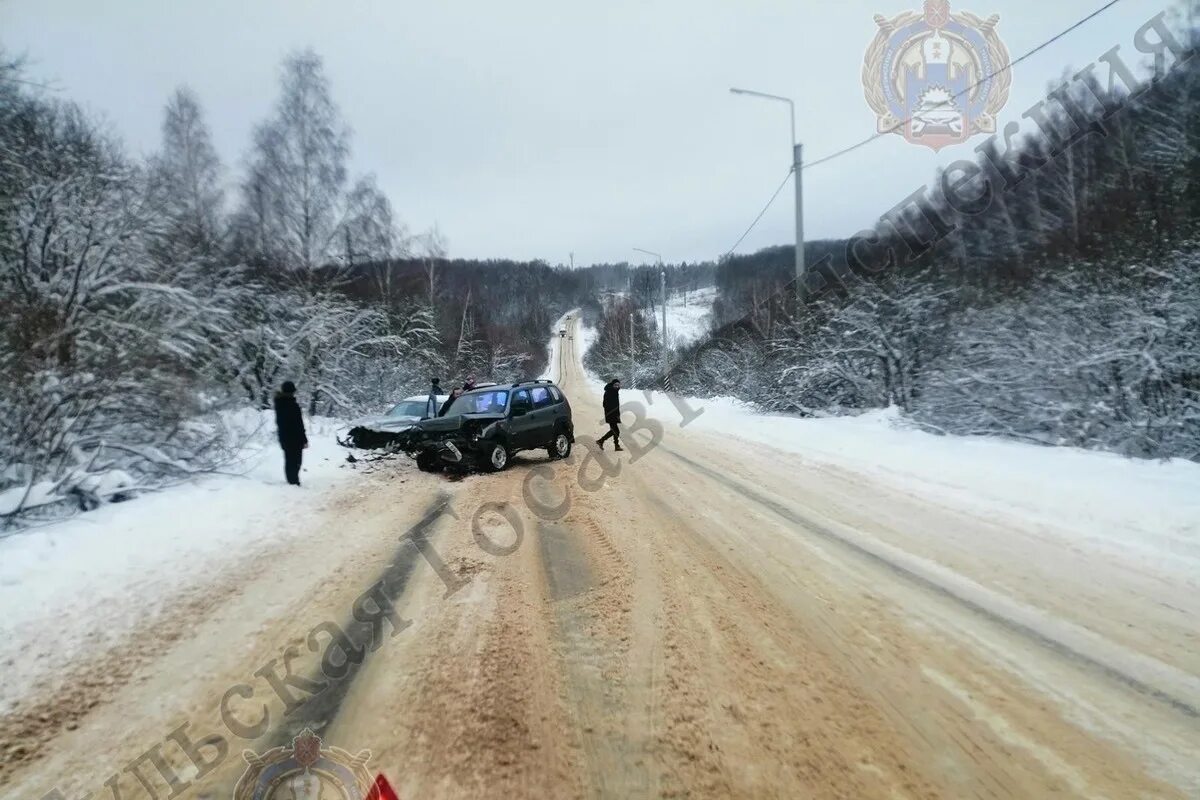 ДТП В Алексине Тульской области. Тула авария вчера на трассе Алексин. Авария под Алексином вчера на трассе. 19 декабря 2014 1598