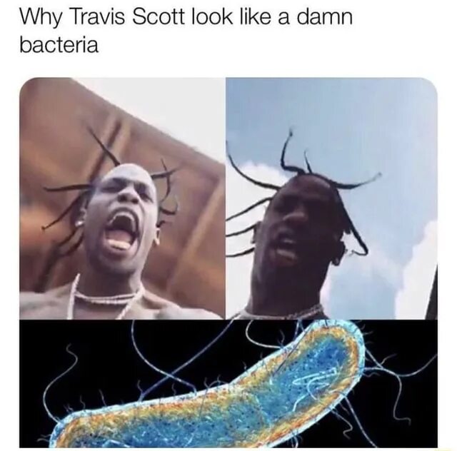 Why sending me this