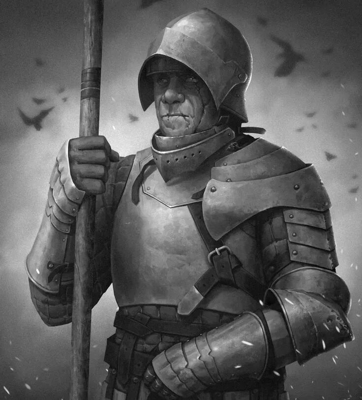 Стражник арт. Стражник днд 5. Рыцарь арт. Рыцарь с алебардой фэнтези арт. Стражник арт.