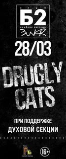 Drugly cats