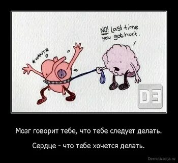 Разум говорит