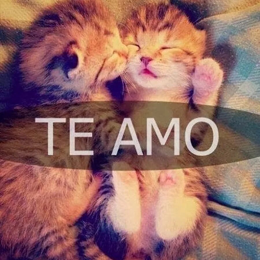 Amor videos. Amor videos. Amor videos. Amor videos. Amor videos.
