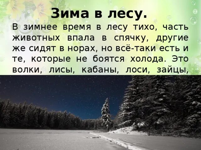 В лесу было тихо но в поле. Тихо в лесу. Стих тихо в лесу. Тихо в лесу песня. Тихо в лесу ВК.