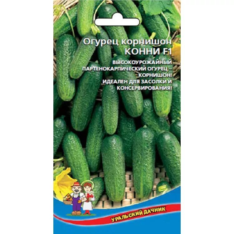 Сорт огурца конни f 1. Огурец сорт конни отзывы. Огурец эксельсиор f1. Сорт огурцов конни. Огурец сорт конни отзывы.