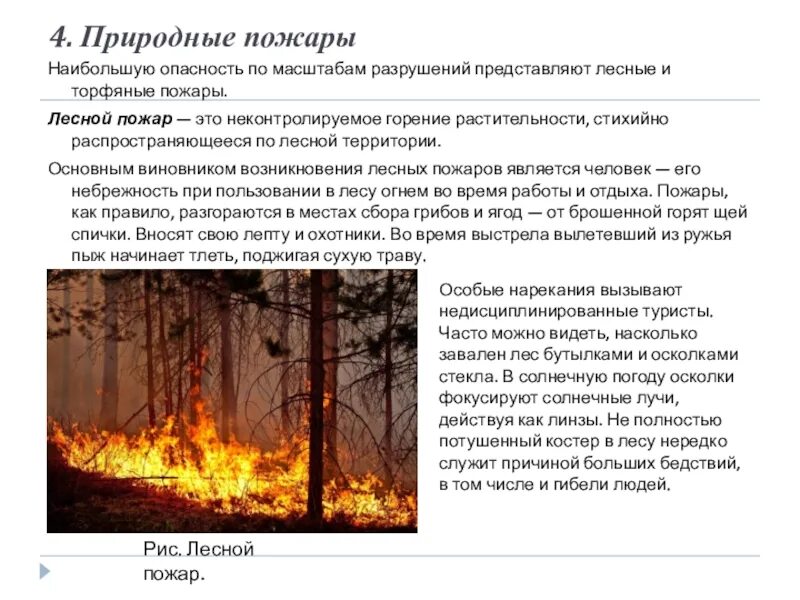 Критерии природного пожара. Характеристика природных пожаров. Причины возникновения природных пожаров. Природные пожары ЧС. Особенности природного пожара