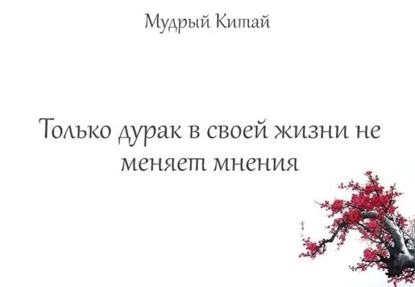 Как меняется мнение. Только дурак не меняет мнение. только дурак в своей жизни не меняет мнения. только дураки не меняют своих мнений. не меняет мнение только глупец.