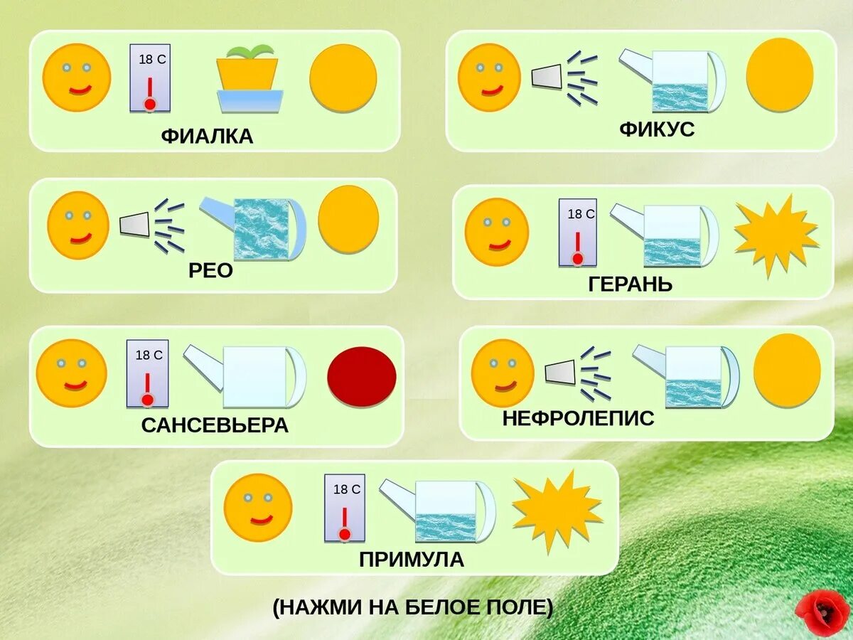 Карту ухаживать. Обозначения для ухода за растениями.