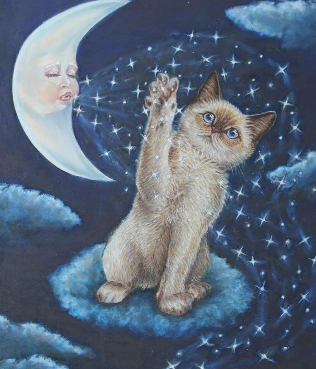 Картинки спокойной ночи с кошкой. "Лунный кот". Спокойной ночи кот. Спокойной ночи с кошками. Кот на Луне.