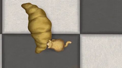 Включи кот едун