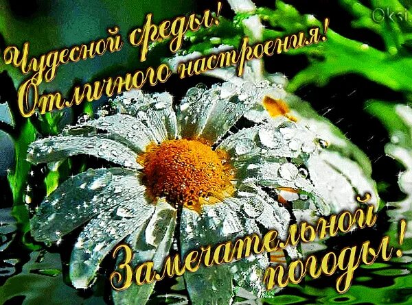 Доброго летнего утра и хорошей среды. Пожелания хорошей погоды и хорошего настроения. открытки хорошей погоды и отличного настроения.