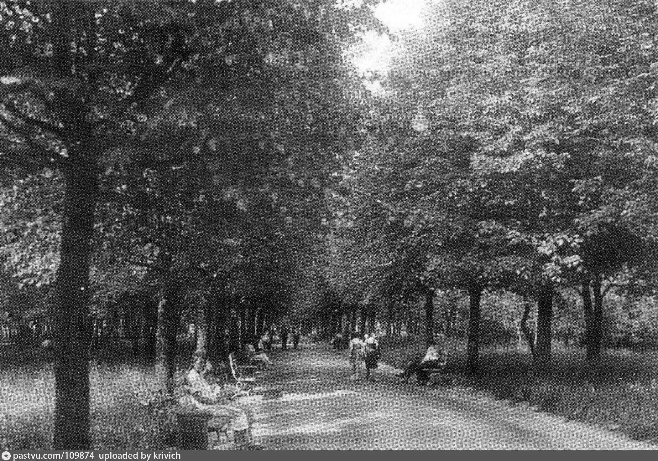 Майский просек, 1940-1950 г.г. Фотография из альбома Фотографии на стене сообщес