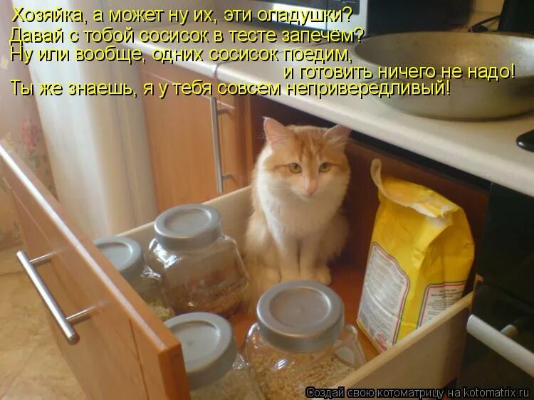 Надулся на крупу. Злой хомяк. Фразеологизм надуться как мышь на крупу. Джунгарский хомячок злиться. Надутый хомяк.