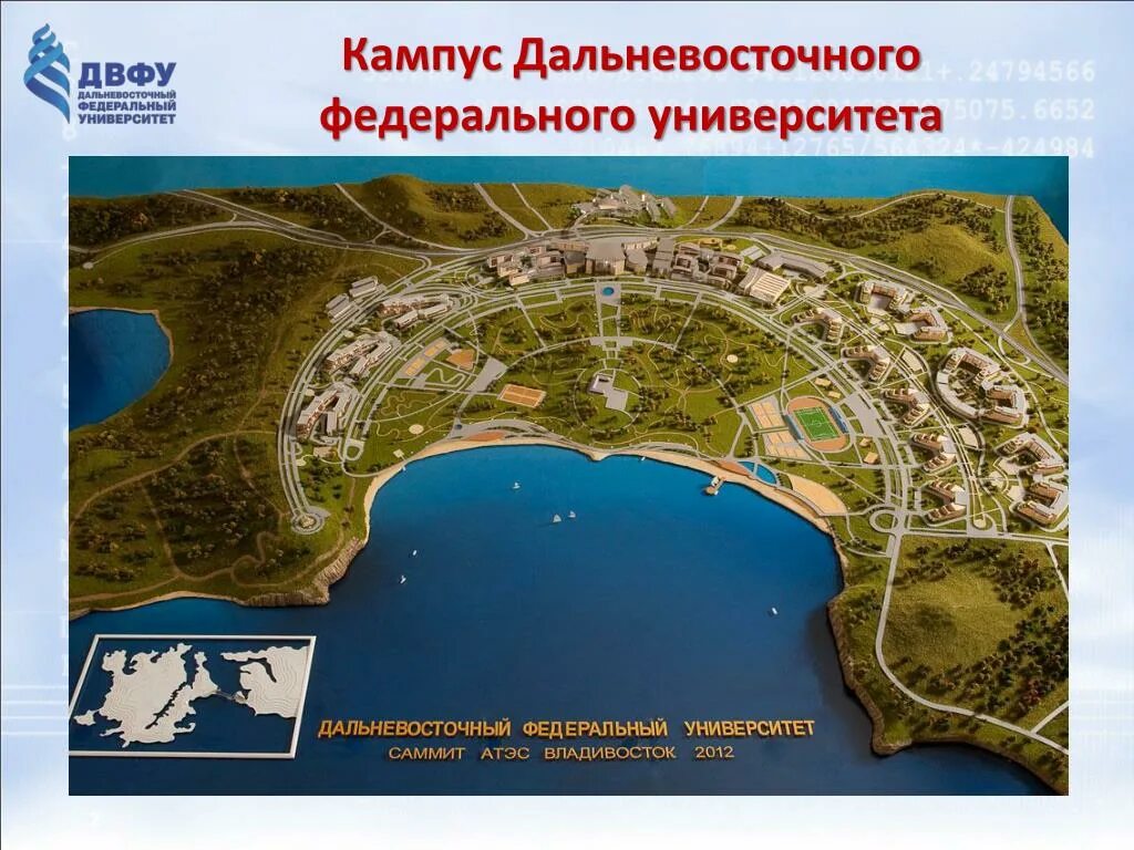 На каком острове находится федеральный дальневосточный университет. Дальневосточный федеральный университет кампус на острове русский. кампус двфу остров русский корпуса. карта кампуса двфу на острове русский. план кампуса двфу на острове русский.