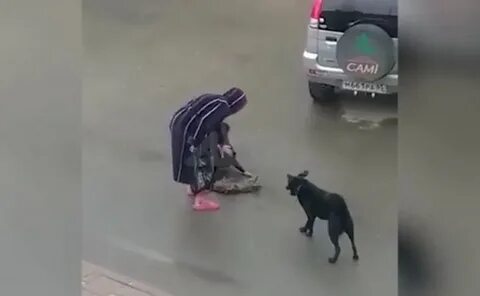 Собаки порвали куртку