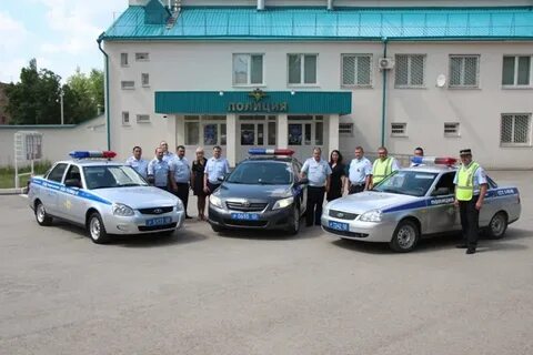 Гаи октябрьский