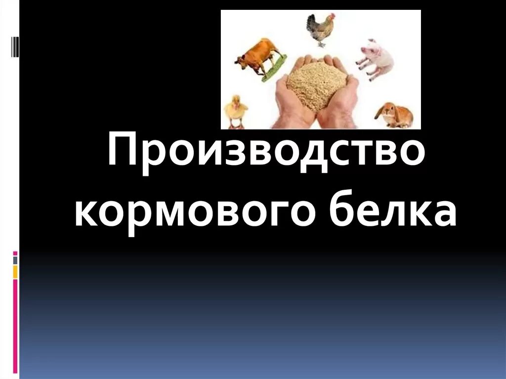Производство белка. Получение пищевого белка. Производство кормового белка. Производство кормового белка. Получение белковых дрожжей.